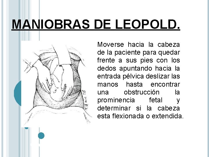 MANIOBRAS DE LEOPOLD. Moverse hacia la cabeza de la paciente para quedar frente a