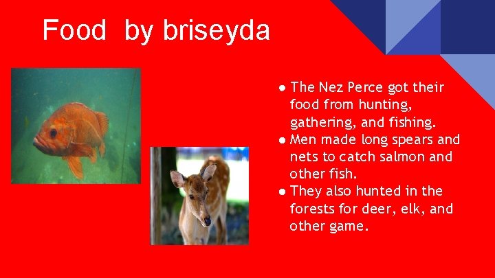 Food by briseyda ● The Nez Perce got their food from hunting, gathering, and