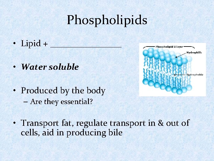 Phospholipids • Lipid + ________ • Water soluble • Produced by the body –