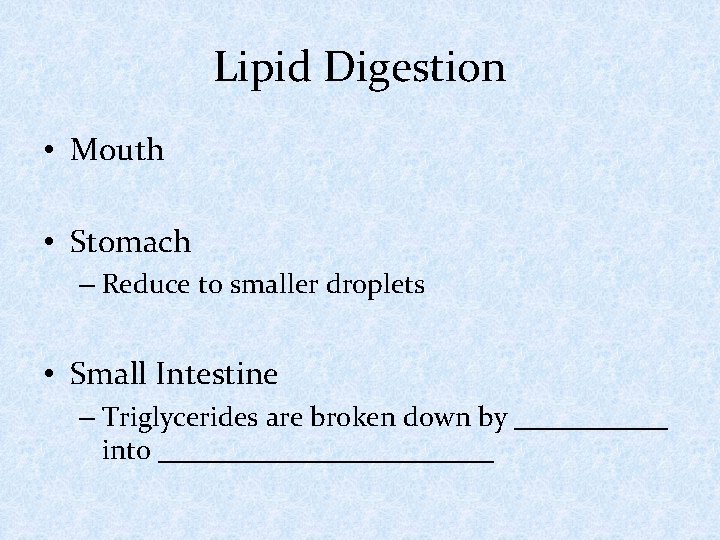 Lipid Digestion • Mouth • Stomach – Reduce to smaller droplets • Small Intestine
