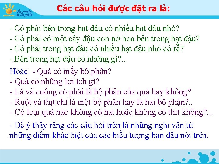 Các câu hỏi được đặt ra là: - Có phải bên trong hạt đậu