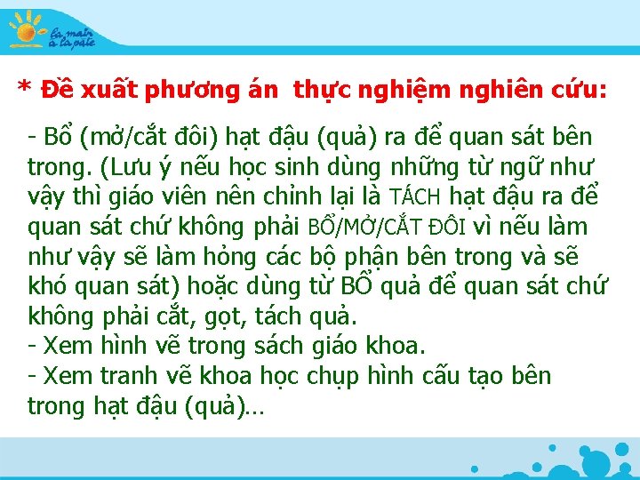 * Đề xuất phương án thực nghiệm nghiên cứu: - Bổ (mở/cắt đôi) hạt