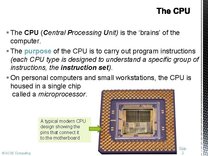§ The CPU (Central Processing Unit) is the ‘brains’ of the computer. § The