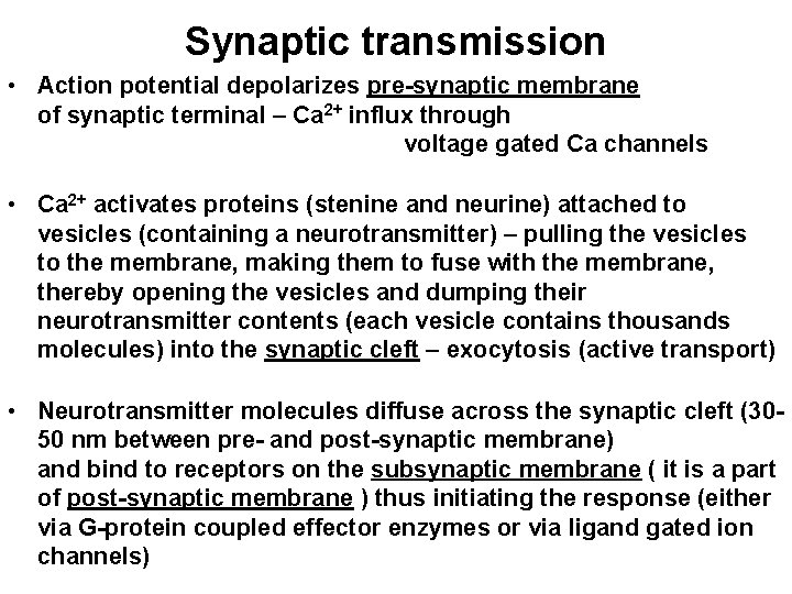 Synaptic transmission • Action potential depolarizes pre-synaptic membrane of synaptic terminal – Ca 2+