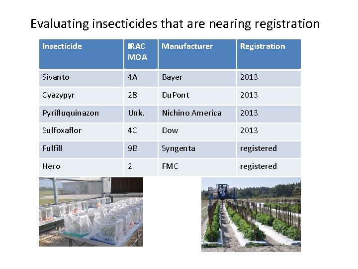 Evaluating insecticides that are nearing registration Insecticide IRAC MOA Manufacturer Registration Sivanto 4 A