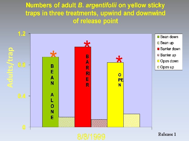 Release 1 Adults/trap 