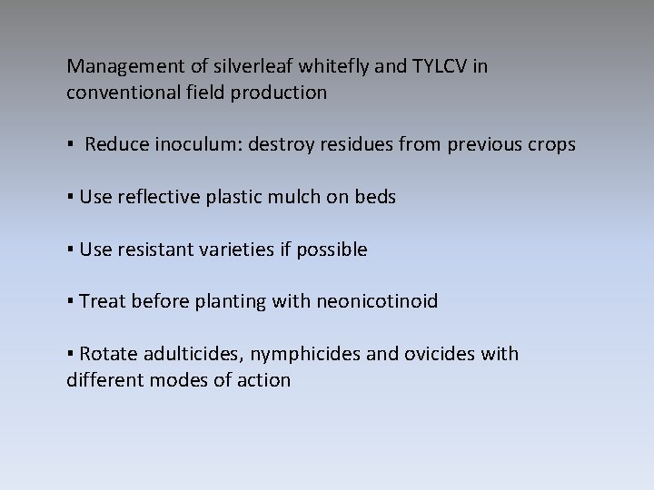 Management of silverleaf whitefly and TYLCV in conventional field production ▪ Reduce inoculum: destroy