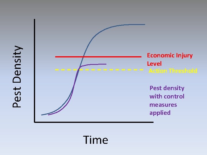 Pest Density Economic Injury Level Action Threshold Pest density with control measures applied Time