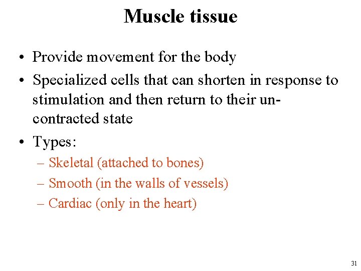 Muscle tissue • Provide movement for the body • Specialized cells that can shorten