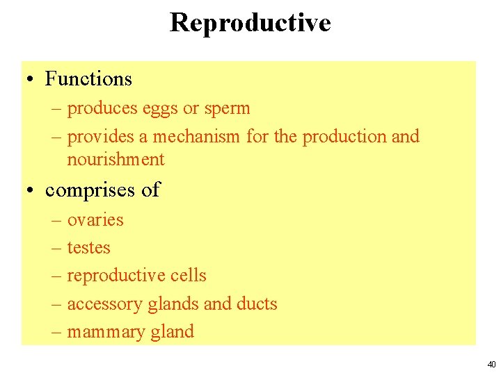 Reproductive • Functions – produces eggs or sperm – provides a mechanism for the