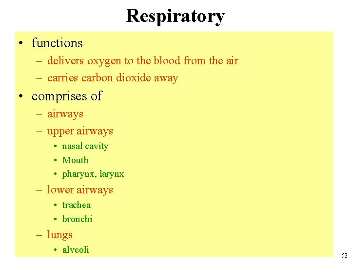 Respiratory • functions – delivers oxygen to the blood from the air – carries