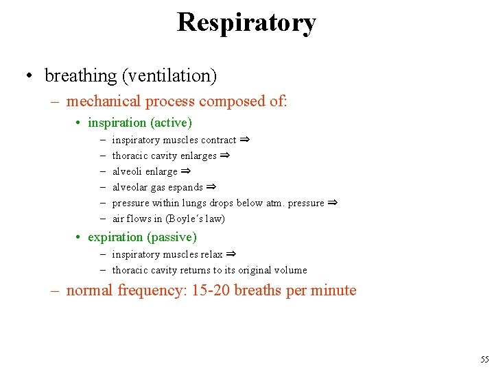 Respiratory • breathing (ventilation) – mechanical process composed of: • inspiration (active) – –