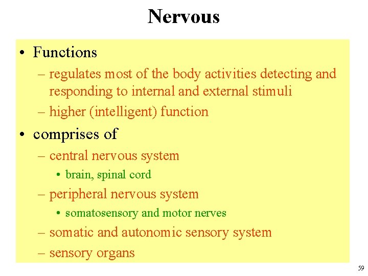 Nervous • Functions – regulates most of the body activities detecting and responding to