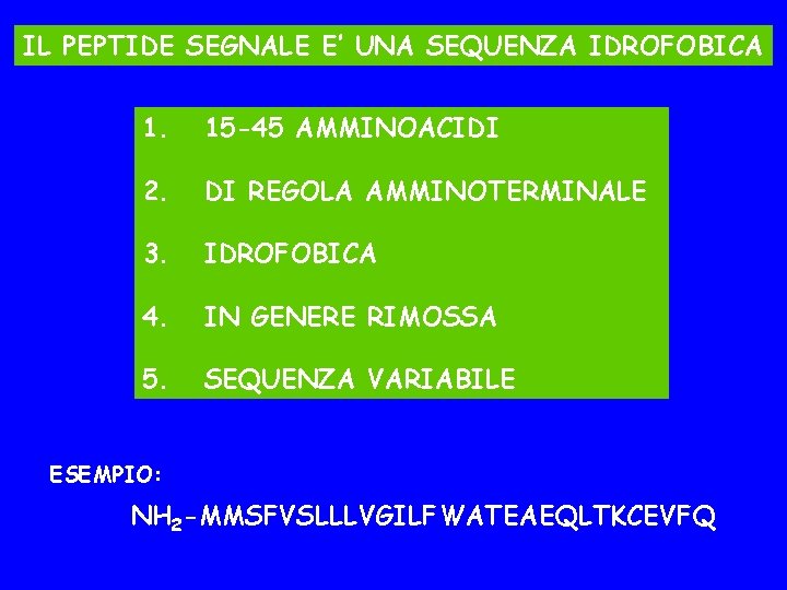 IL PEPTIDE SEGNALE E’ UNA SEQUENZA IDROFOBICA 1. 15 -45 AMMINOACIDI 2. DI REGOLA