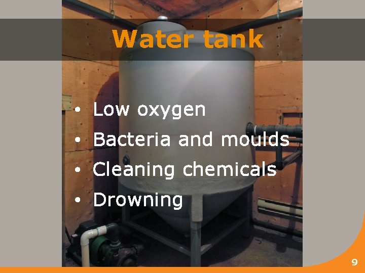 Water tank • Low oxygen • Bacteria and moulds • Cleaning chemicals • Drowning