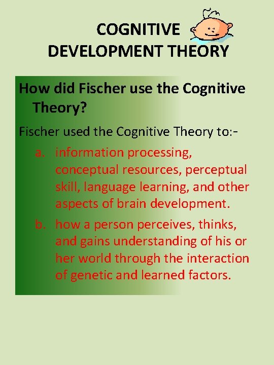 COGNITIVE DEVELOPMENT THEORY How did Fischer use the Cognitive Theory? Fischer used the Cognitive