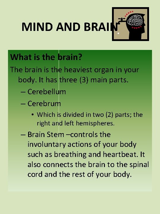 MIND AND BRAIN What is the brain? The brain is the heaviest organ in