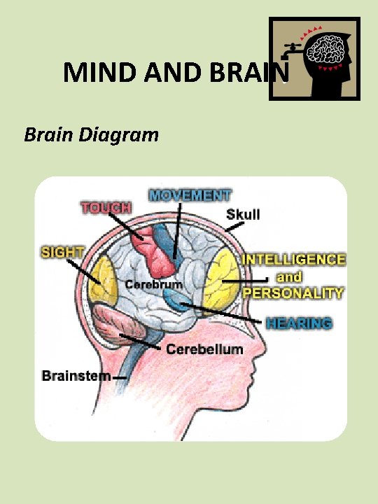 MIND AND BRAIN Brain Diagram 