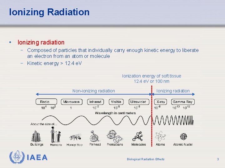 Ionizing Radiation • Ionizing radiation − Composed of particles that individually carry enough kinetic