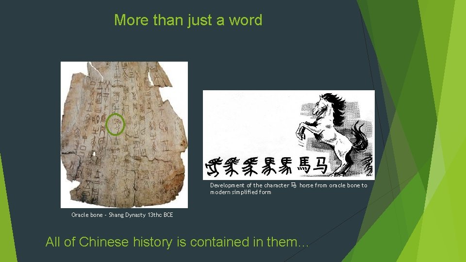 More than just a word Development of the character 马 horse from oracle bone