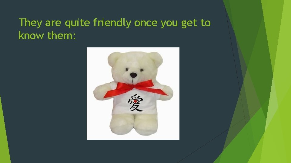 They are quite friendly once you get to know them: 