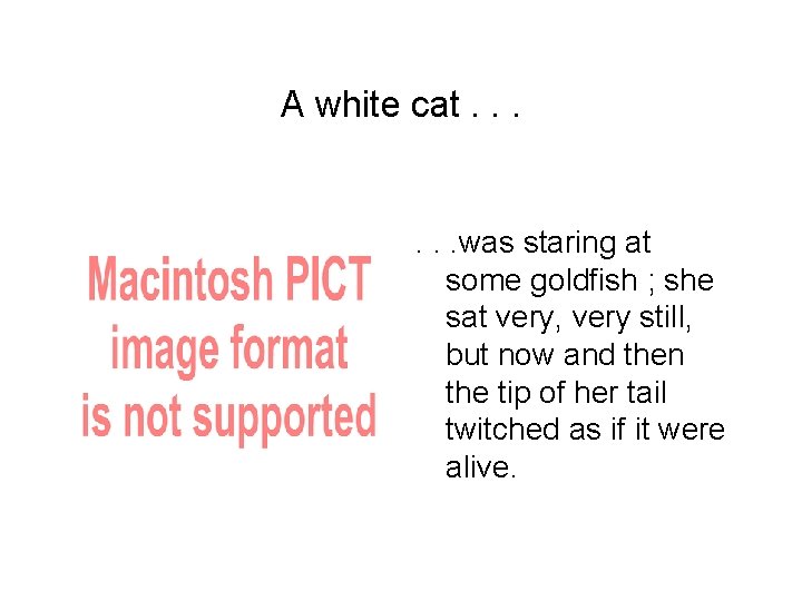 A white cat. . . was staring at some goldfish ; she sat very,