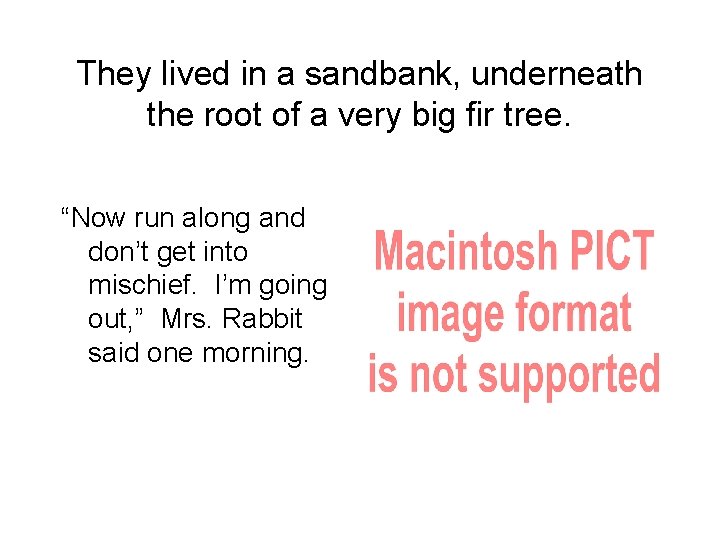 They lived in a sandbank, underneath the root of a very big fir tree.