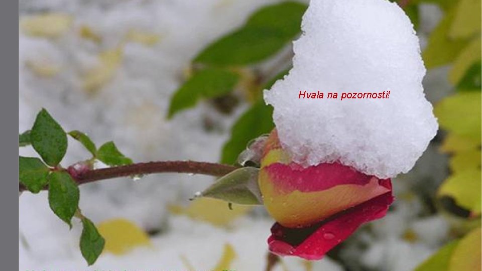 Hvala na pozornosti! 