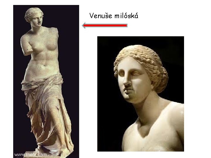 Venuše milóská 