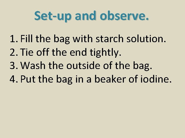 Set-up and observe. 1. Fill the bag with starch solution. 2. Tie off the
