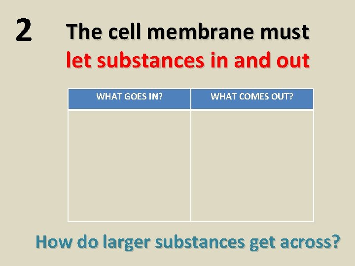 2 The cell membrane must let substances in and out WHAT GOES IN? WHAT