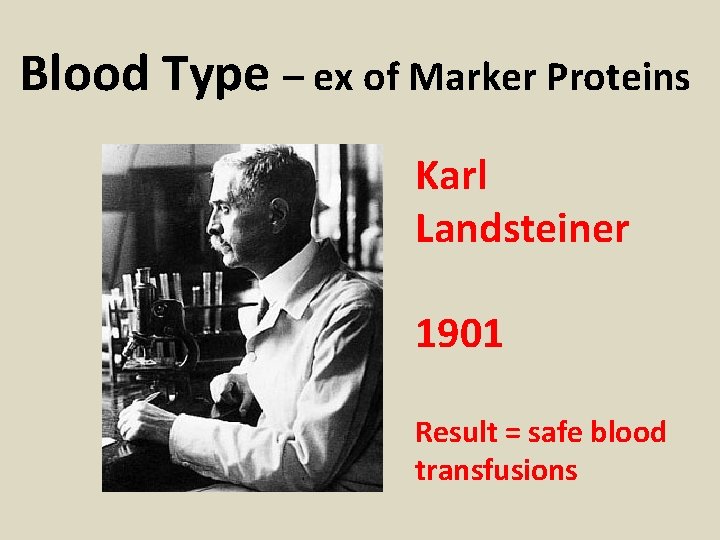 Blood Type – ex of Marker Proteins Karl Landsteiner 1901 Result = safe blood
