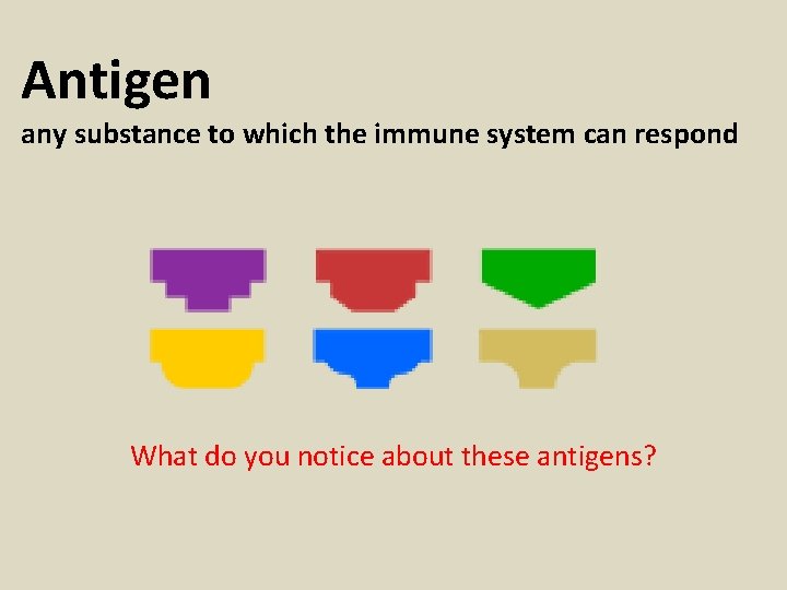 Antigen any substance to which the immune system can respond What do you notice