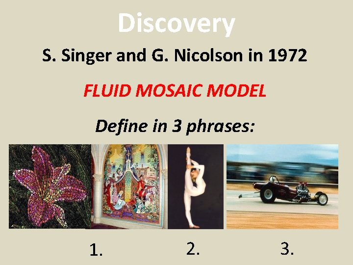 Discovery S. Singer and G. Nicolson in 1972 FLUID MOSAIC MODEL Define in 3