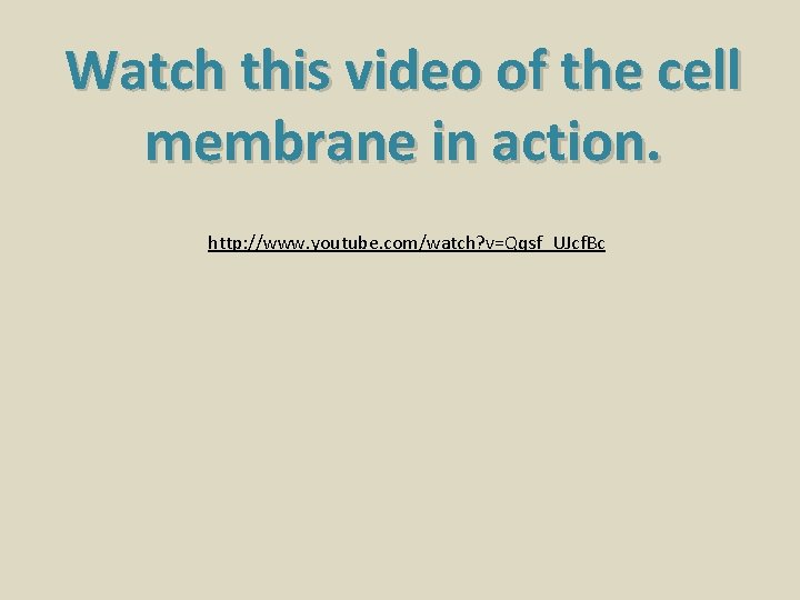 Watch this video of the cell membrane in action. http: //www. youtube. com/watch? v=Qqsf_UJcf.
