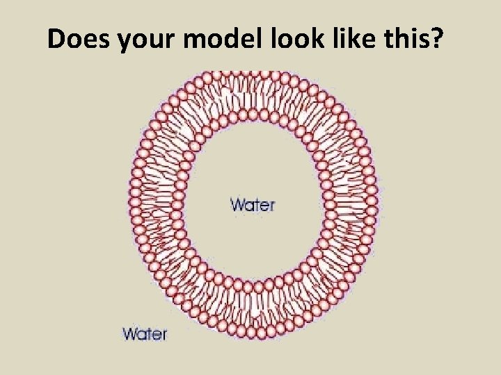 Does your model look like this? 