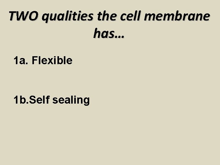 TWO qualities the cell membrane has… 1 a. Flexible 1 b. Self sealing 