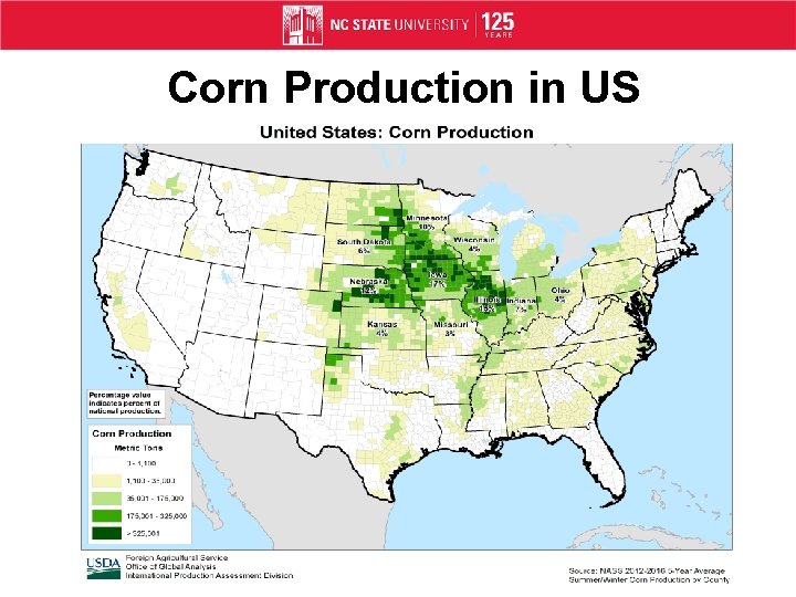 Corn Production in US 