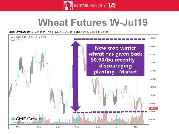 Wheat Futures W-Jul 19 New crop winter wheat has given back $0. 90/bu recently—