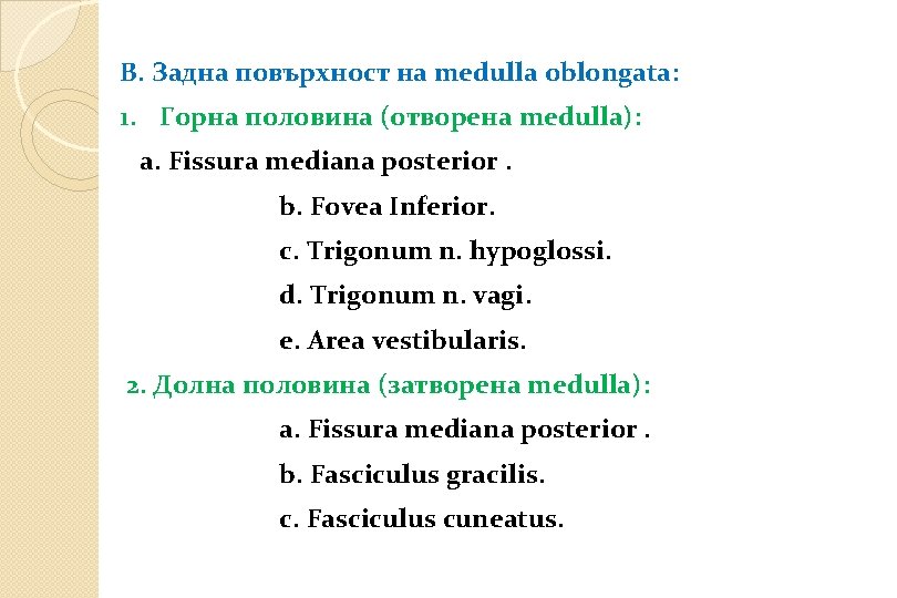 B. Задна повърхност на medulla oblongata: 1. Горна половина (отворена medulla): a. Fissura mediana B. Задна повърхност на medulla oblongata: 1. Горна половина (отворена medulla): a. Fissura mediana