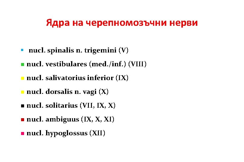 Ядра на черепномозъчни нерви § nucl. spinalis n. trigemini (V) n nucl. vestibulares (med. Ядра на черепномозъчни нерви § nucl. spinalis n. trigemini (V) n nucl. vestibulares (med.