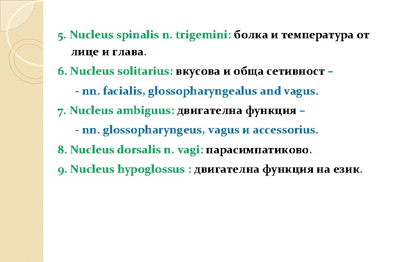 5. Nucleus spinalis n. trigemini: болка и температура от лице и глава. 6. Nucleus 5. Nucleus spinalis n. trigemini: болка и температура от лице и глава. 6. Nucleus