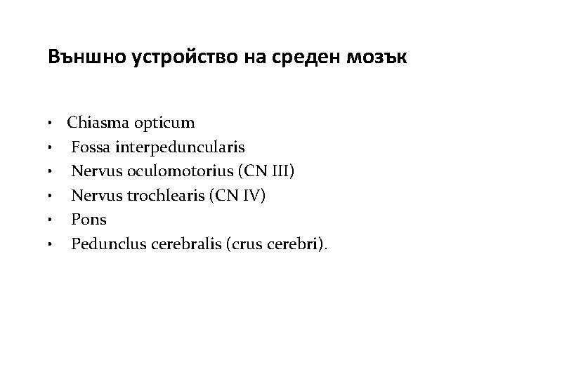 Външно устройство на среден мозък • Chiasma opticum • Fossa interpeduncularis • Nervus oculomotorius Външно устройство на среден мозък • Chiasma opticum • Fossa interpeduncularis • Nervus oculomotorius