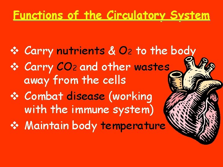 Functions of the Circulatory System v Carry nutrients & O 2 to the body