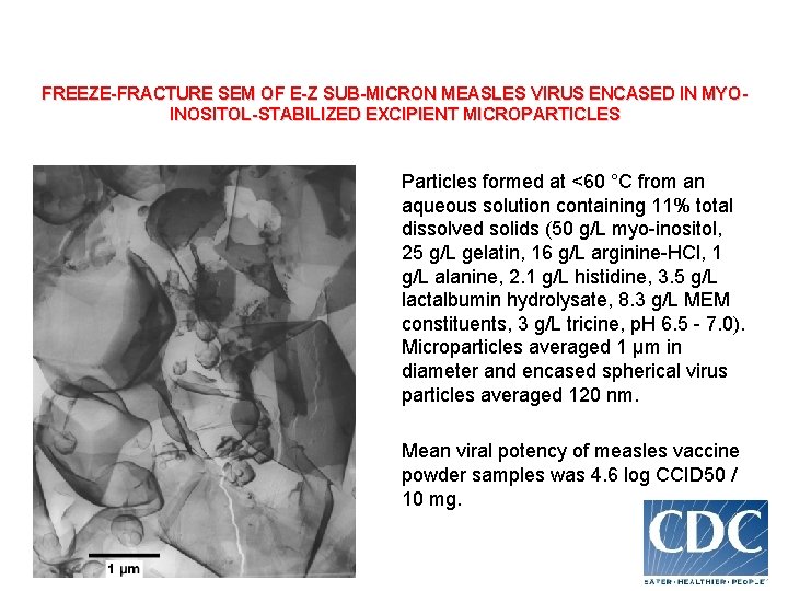 FREEZE-FRACTURE SEM OF E-Z SUB-MICRON MEASLES VIRUS ENCASED IN MYOINOSITOL-STABILIZED EXCIPIENT MICROPARTICLES Particles formed
