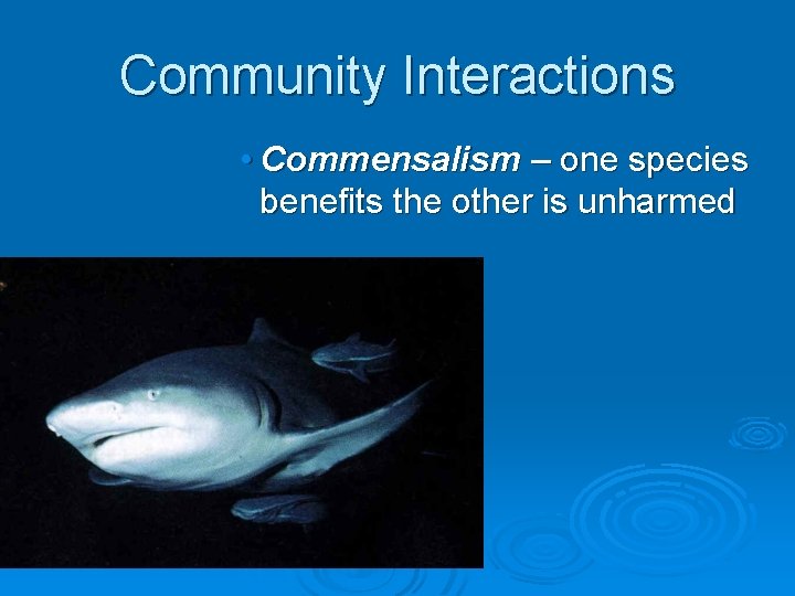 Community Interactions • Commensalism – one species benefits the other is unharmed 