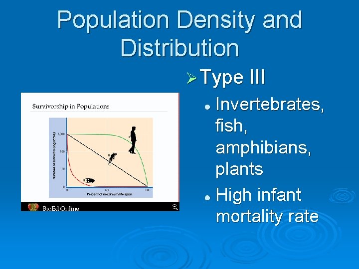 Population Density and Distribution Ø Type III Invertebrates, fish, amphibians, plants l High infant