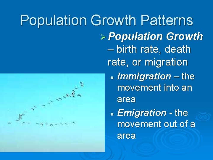 Population Growth Patterns Ø Population Growth – birth rate, death rate, or migration Immigration