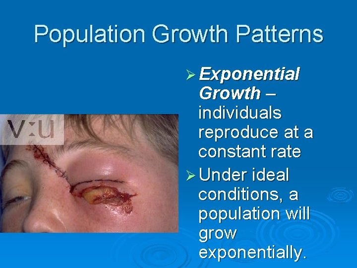 Population Growth Patterns Ø Exponential Growth – individuals reproduce at a constant rate Ø