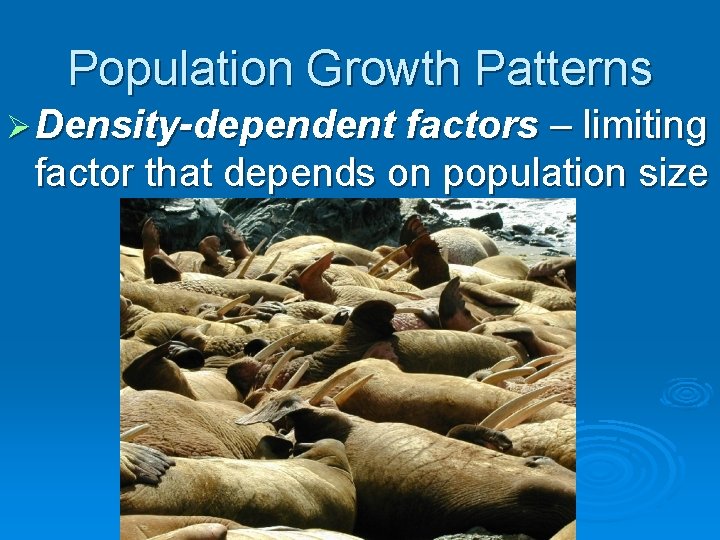 Population Growth Patterns Ø Density-dependent factors – limiting factor that depends on population size